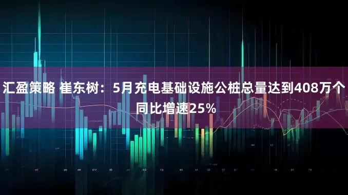 汇盈策略 崔东树：5月充电基础设施公桩总量达到408万个 同比增速25%