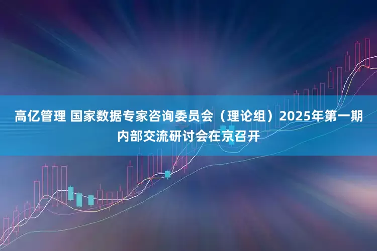 高亿管理 国家数据专家咨询委员会（理论组）2025年第一期内部交流研讨会在京召开