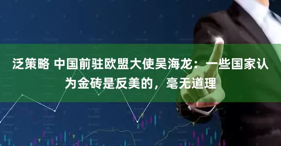 泛策略 中国前驻欧盟大使吴海龙：一些国家认为金砖是反美的，毫无道理